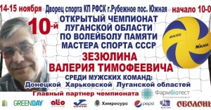 турнир по волейболу
